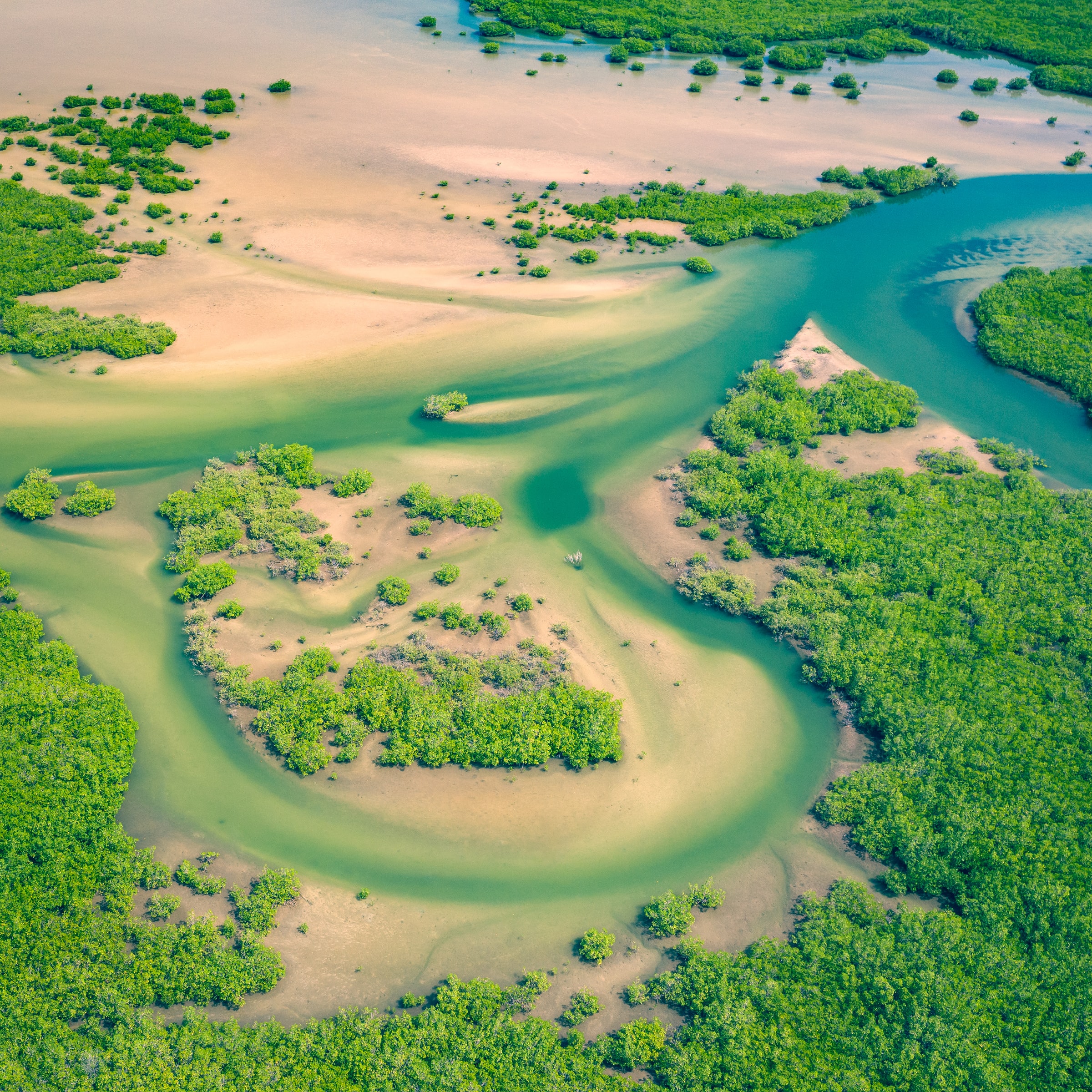 Evaluaciones Nacionales de Biodiversidad y Servicios Ecosistémicos para las personas y la naturaleza